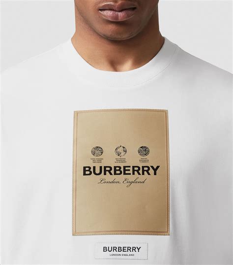 burberry t shirt 2019|Burberry t shirt original price.